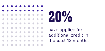 20% have applied for additional credit in the past 12 months