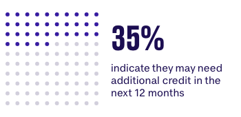 35% indicate they may need additional credit in the next 12 months