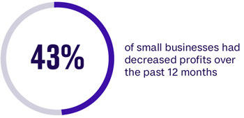 43% of small businesses had decreased profits over the past 12 months.